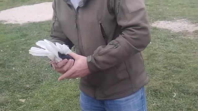 в гостях у Евгения , канал 3 брата ! смотреть онлайн