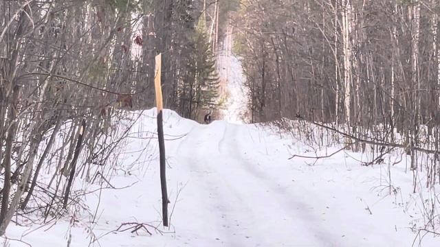 Следы кабана смотреть онлайн