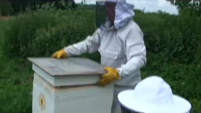 Меняем улей