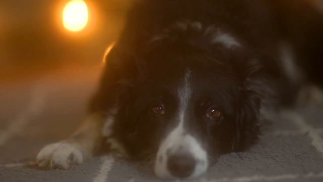 7 In-Camera Effects (you can do with household items) смотреть онлайн