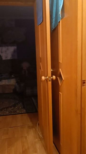 ждёт сидит😊 #животные смотреть онлайн