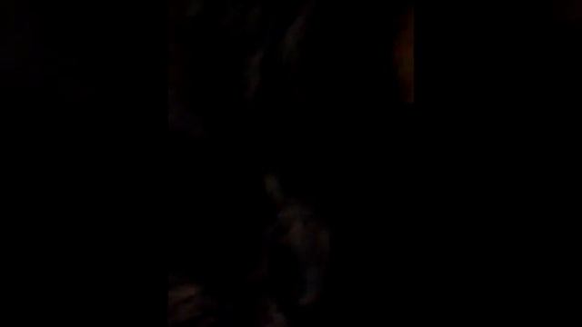 Мая квартирка плюс няш кэт смотреть онлайн