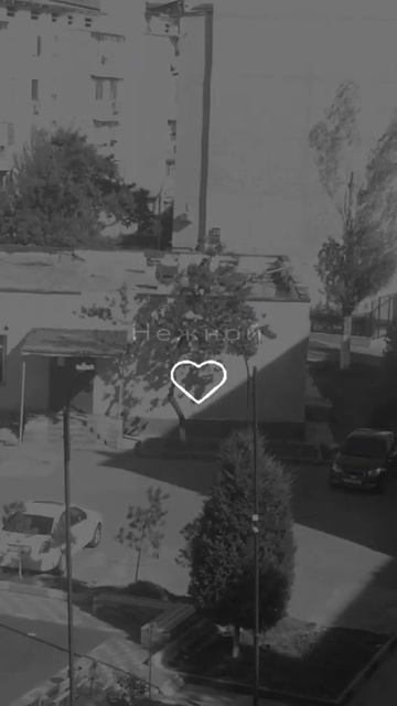 Не надо быть сильной, сильный буду я проста будь ближе и люби меня ❤️🕊очень красивая трек ❤️🕊 смотреть онлайн