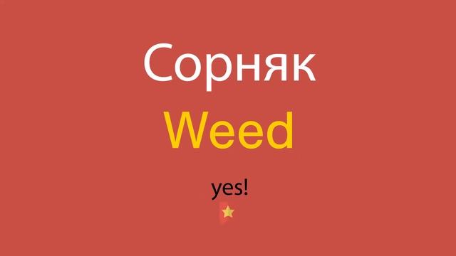 Сорняк по-английски смотреть онлайн