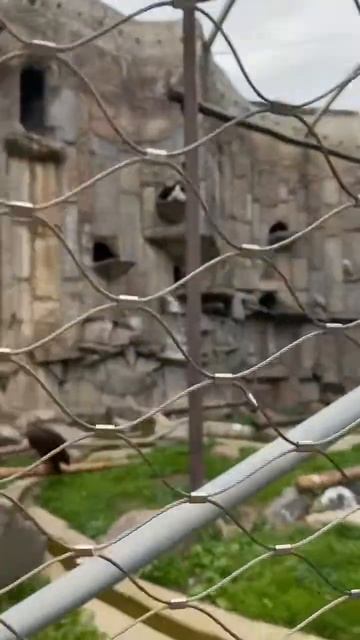 Орлы ￼￼ смотреть онлайн