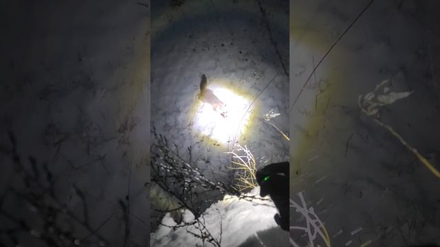 охота на лису с подхода смотреть онлайн