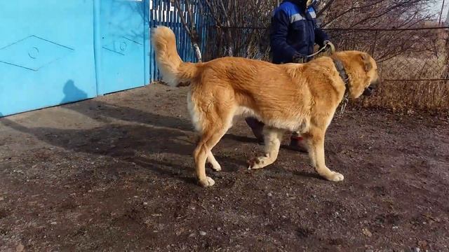 23.12.17.(3) смотреть онлайн