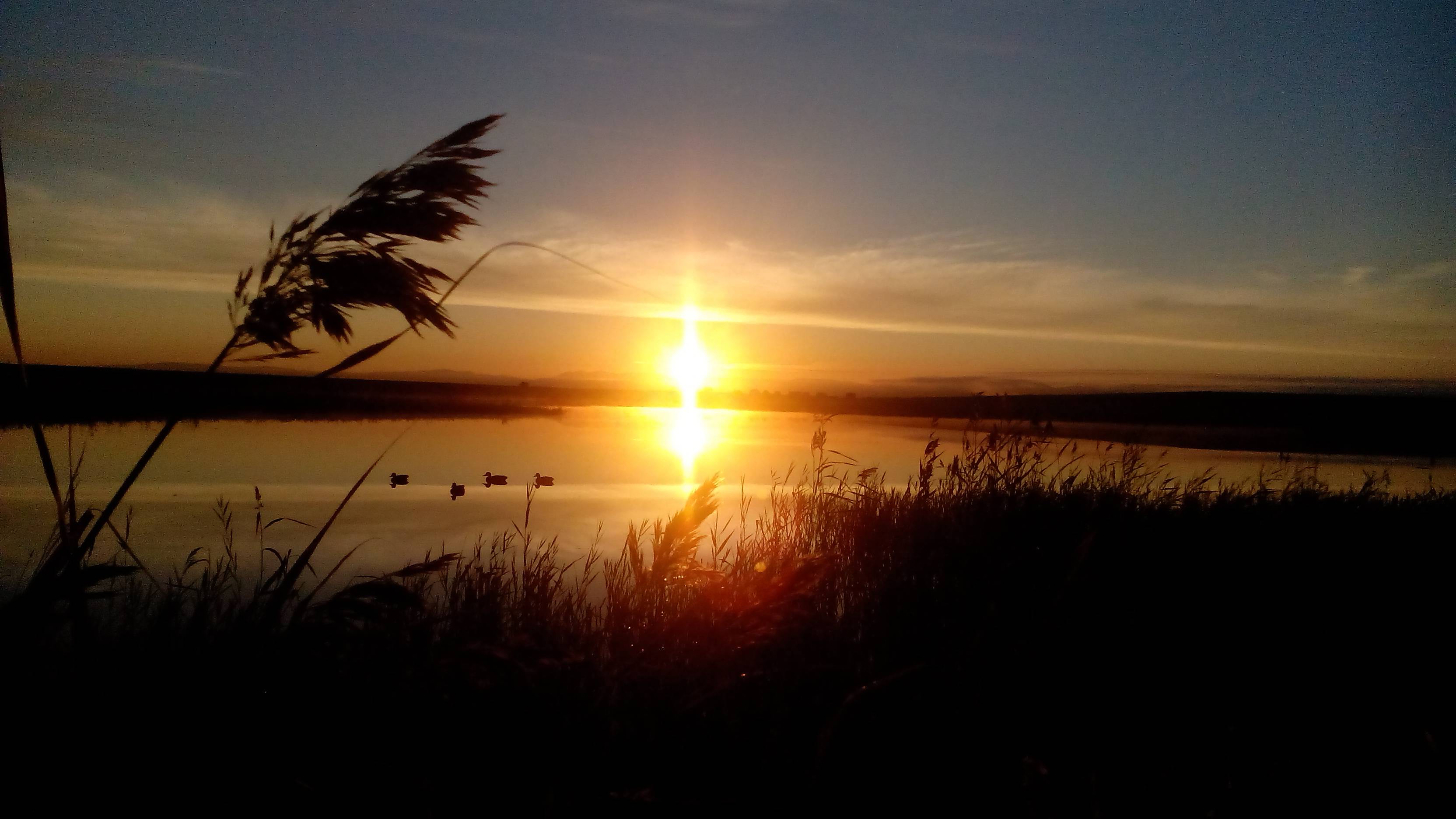 Открытие осеней охоты на утку 2021 год в Забайкальском крае смотреть онлайн