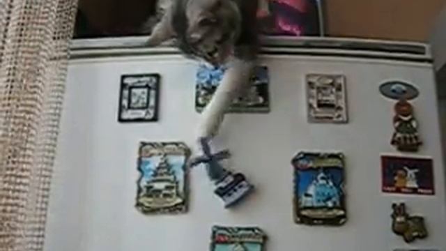 Кошка Пуся - мельник смотреть онлайн