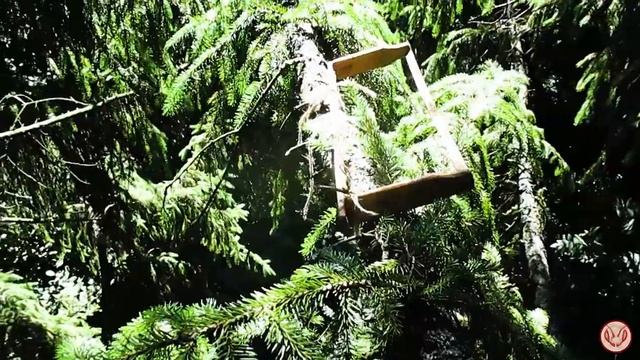 Ловим рои всё лето. Видео #11 смотреть онлайн