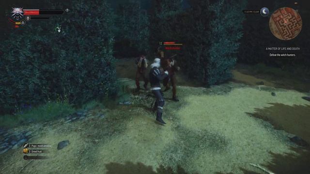 The Witcher 3: Wild Hunt - Triss and the Panther Cub смотреть онлайн