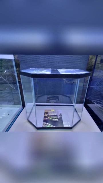 аквариумы Новороссийск хорошие цены #новороссийск #aquarium #fish #аквариум #рыбки #glofish смотреть онлайн