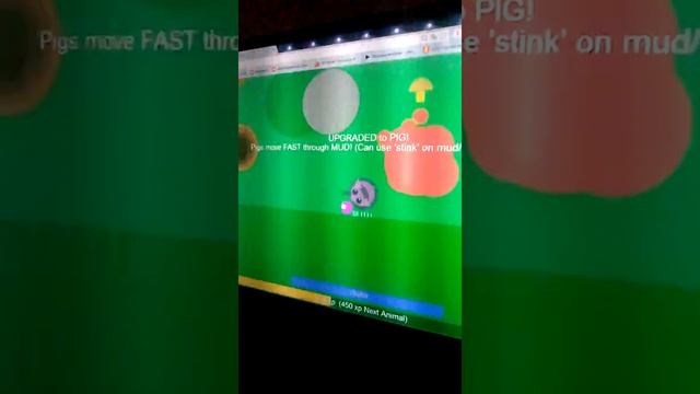 Мой брат играет в мопио смотреть онлайн