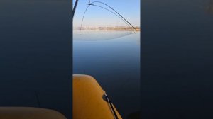 Рыбачию на паук подъемник в секретном месте с лодки, онлайн
