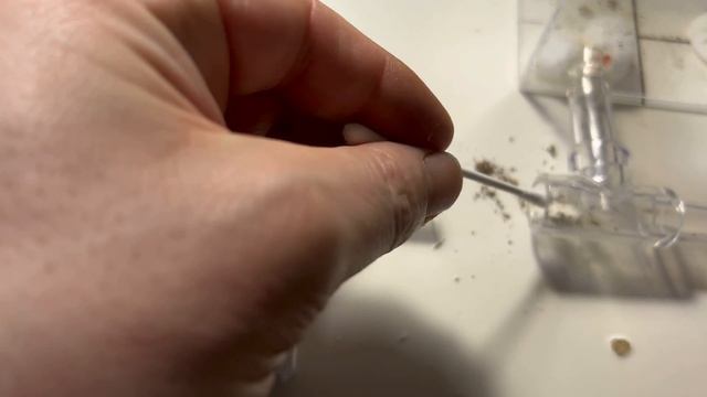 My Carebara Diversa, The Army is Growing! смотреть онлайн