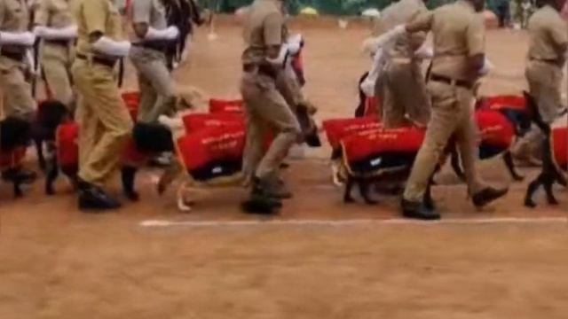 Keralapiravi #chiefminister #medal Distribution |kerala police |parade #keralapolice |sap смотреть онлайн