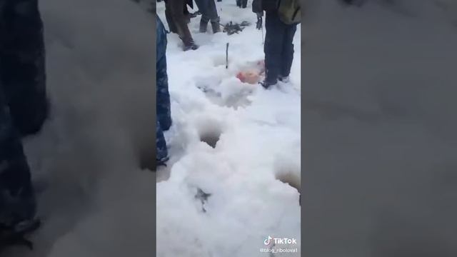 Куча сомов... Lots of catfish... смотреть онлайн