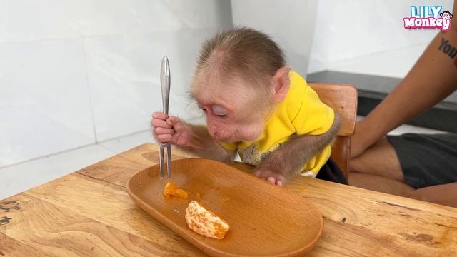 Smart monkey Lily helps dad clean the house after school смотреть онлайн