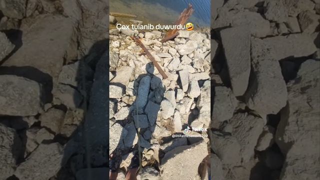 Mohtesem balik ovu 10 bolum yeni 2023 Deyir biz baliq Tutmuruq suda bogulan baliqlari cixardiriq смотреть онлайн