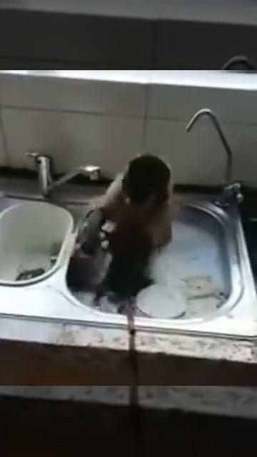 Хозяюшка! смотреть онлайн