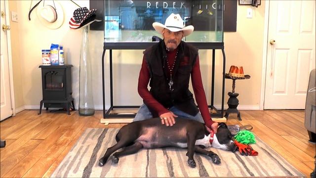 Side Submitting Dogs Explained Step-by-Step Instructions Head & Top Control - BIG CHUCK MCBRIDE смотреть онлайн