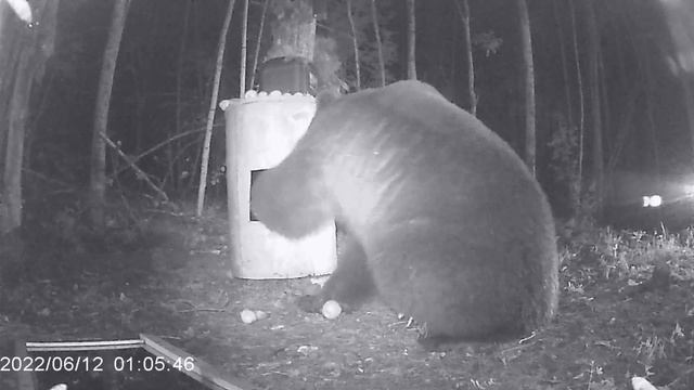 Медведь свернул зеркало. The bear turned the mirror. смотреть онлайн