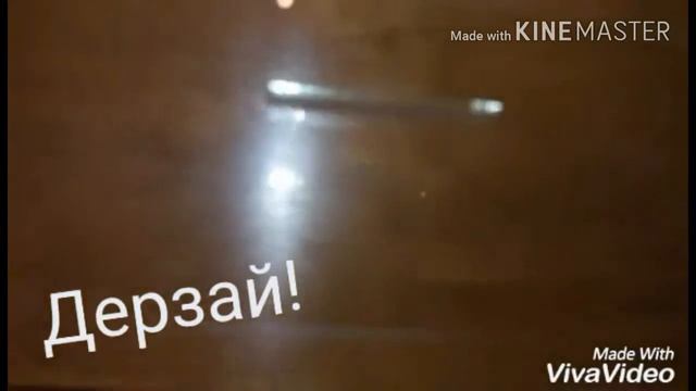 Мої равлики😄😄 смотреть онлайн