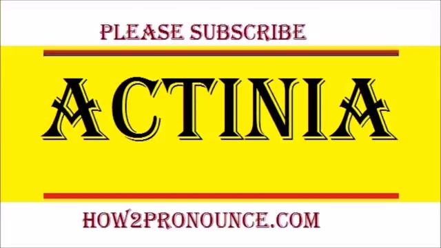 How To Pronounce ACTINIA смотреть онлайн