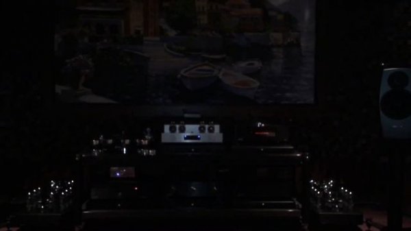 Dynaudio Confidence 20 Octave V110 SE + Super Box Ayon CD-35 Siltech Princess XLR Siltech Prince