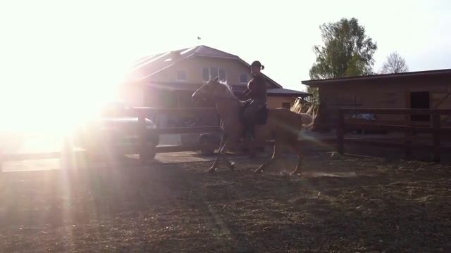 подъем в галоп смотреть онлайн