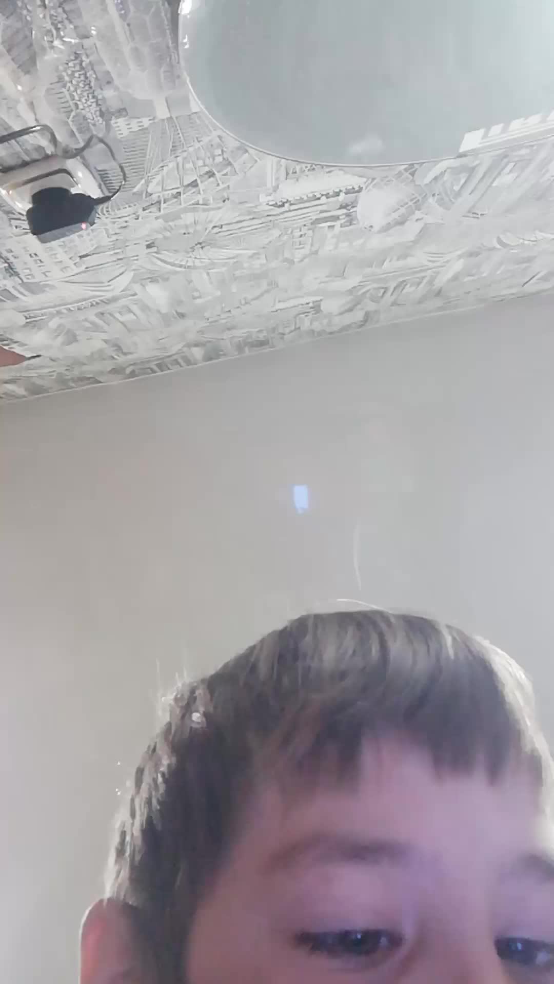 Cow The Danse - корова танцует песня и другое