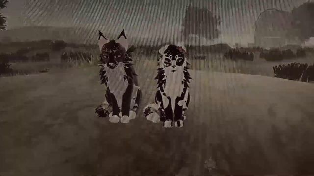 Новое видео! Наконец то! Не кидайте тапками, за то, что давно не было видео. смотреть онлайн