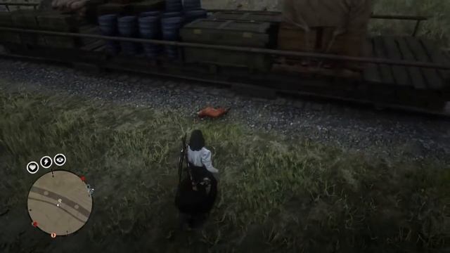 Poor Red Streak Coyote - Red Dead Online смотреть онлайн