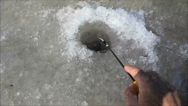 Закриття льодового сезону 2016-2017р.р. та переселення окуня. смотреть онлайн