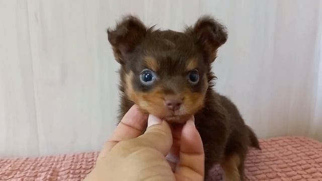 ЭТИ ВАШИ СЪЁМКИ, ОДНИ СПЛОШНЫЕ НЕРВЫ смотреть онлайн