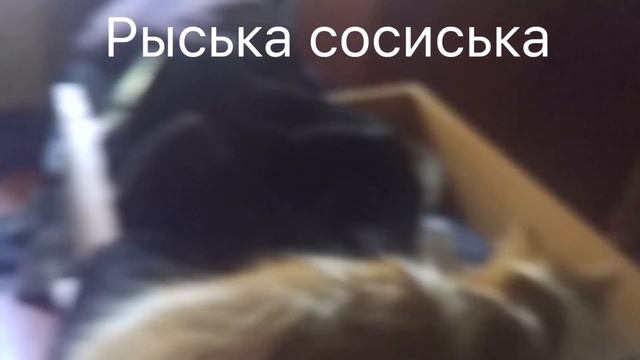 Рыська сосиска. смотреть онлайн