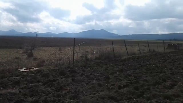Выход пчел севодня день солнечный смотреть онлайн