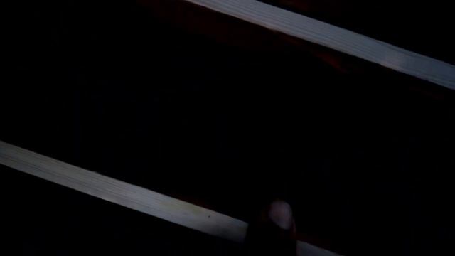 Не плодные матки и старая матка в нуклеусах для дальнейших экспериментов по моему методу борьбы с к смотреть онлайн