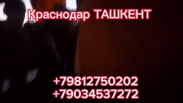 Краснодар ТАШКЕНТ АВТОБУС #краснодар #сочи #мариуполь #краснодар #кино #крым смотреть онлайн