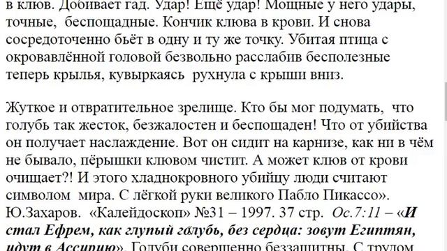 2457. Чему вы можете научиться от голубей? смотреть онлайн
