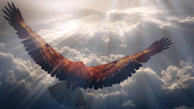 Практика для сепарации с родителями ВОЛЬНАЯ ПТИЦА 🦅 Авторская медитация для обретения уверенности. смотреть онлайн