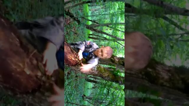 Медвежонок смотреть онлайн