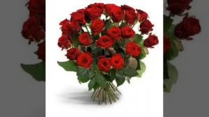 Кори Алишер нашид