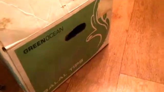 Фильм ужасов про кота. A horror film about a cat. смотреть онлайн