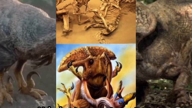 Velociraptor Vs Protoceratops(QUEM VENCE???)