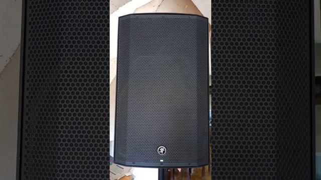 Rcf Art 915/ VS Mackie Thump 15A