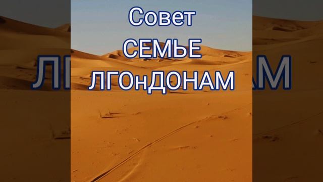 Дивы Ютубинска и семейка ЛГОнДОНЫ .😂✌🏼 смотреть онлайн