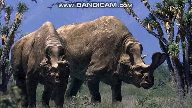 Embolotherium Sounds смотреть онлайн