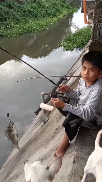 CATHING TILAPIA #shorts смотреть онлайн