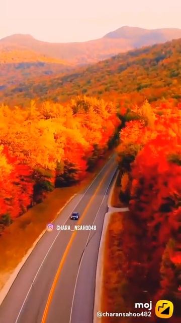 ff blur 708 1650dbc4 1619270645726 watermarked смотреть онлайн